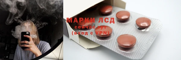 гидра Алексеевка