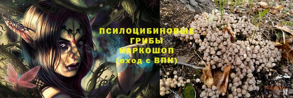 a pvp Алексин