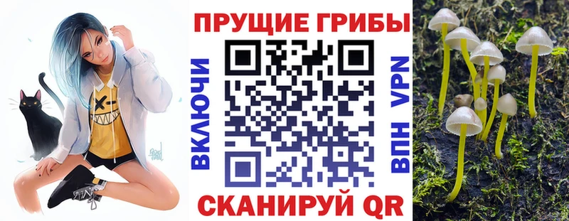 где купить наркоту  Лянтор  Галлюциногенные грибы Psilocybine cubensis 